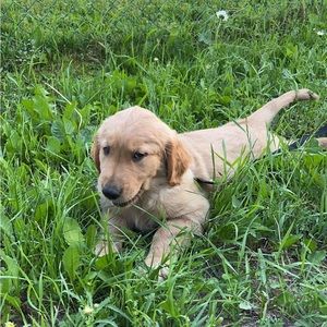 Meet your Posher, Kays